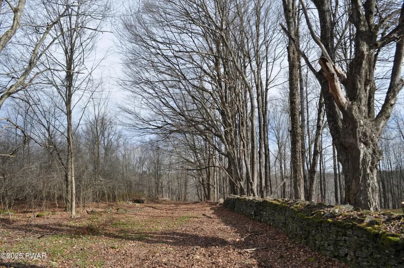 Property from Bryn Mawr Road - KW