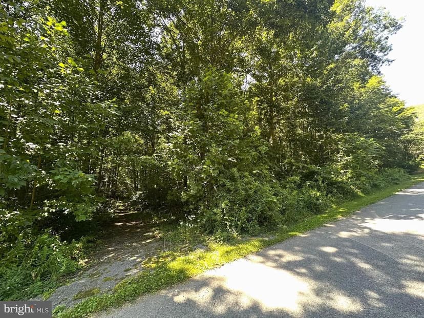 Vacant Land in Saxton