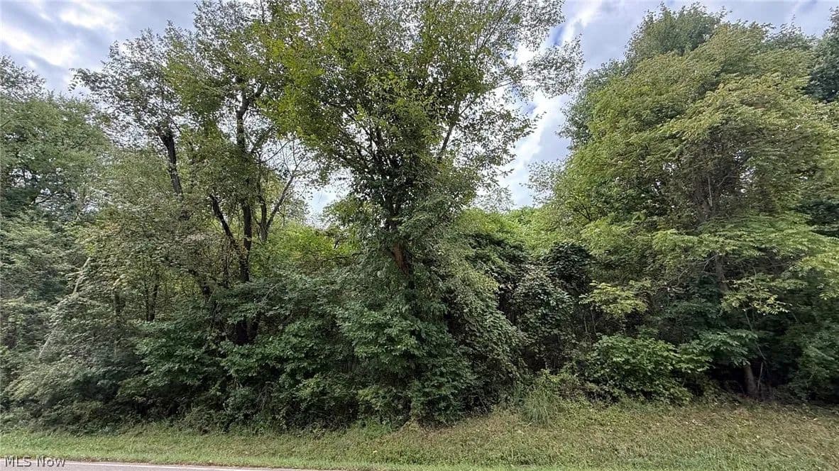 Vacant Land in Massillon - Massillon, Ohio, 44647