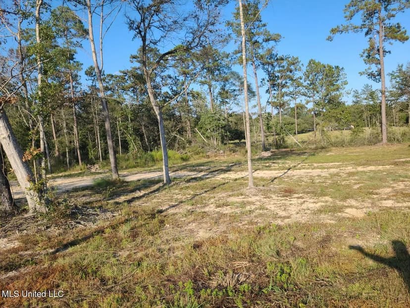 Lots & Land-Other in Poplarville