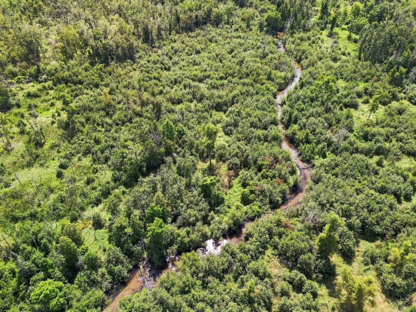 Coldwater River 155 - Weidman, Michigan, 49993
