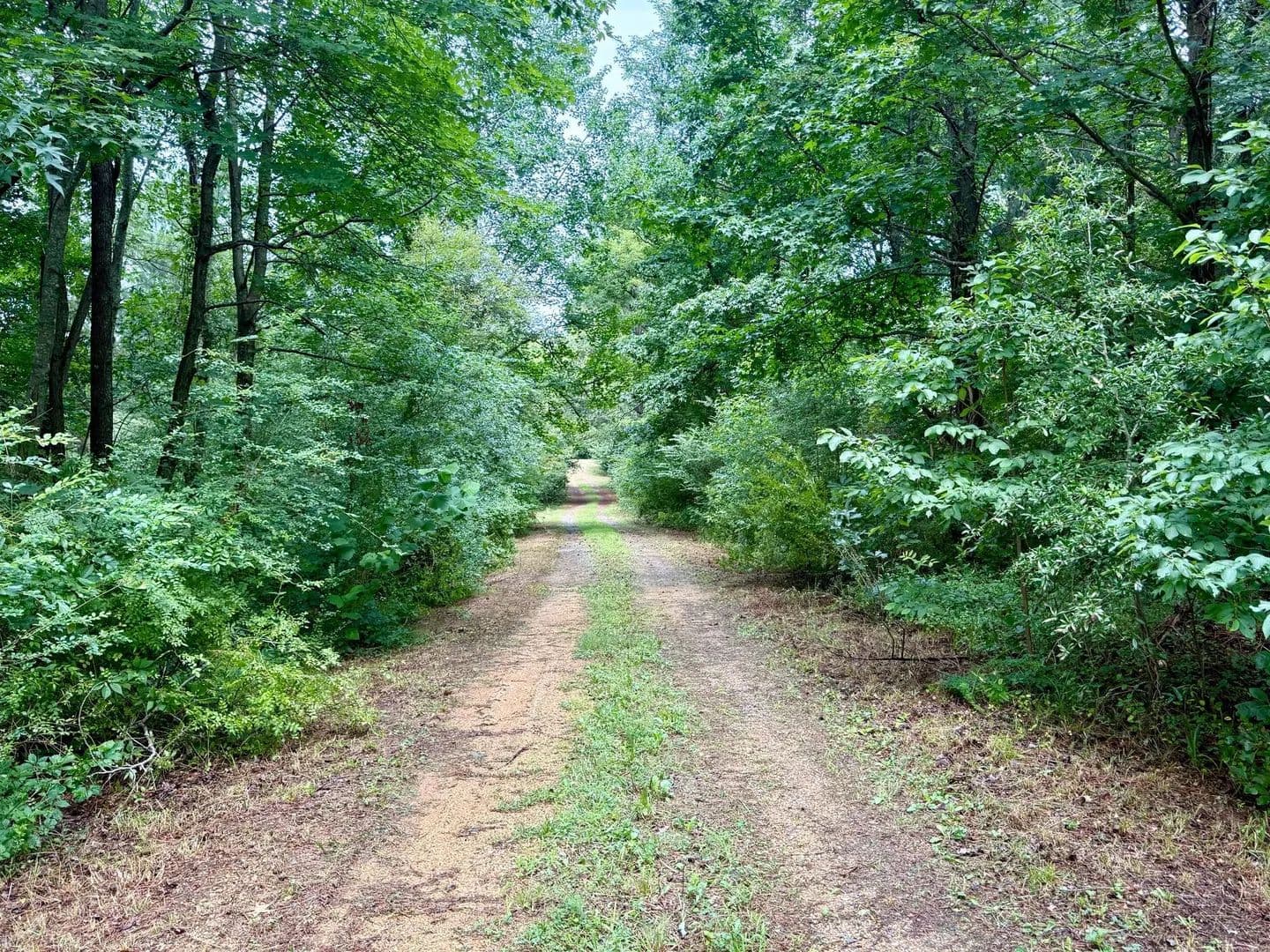 Vacant Land in Callaway - Callaway, Maryland, 20620