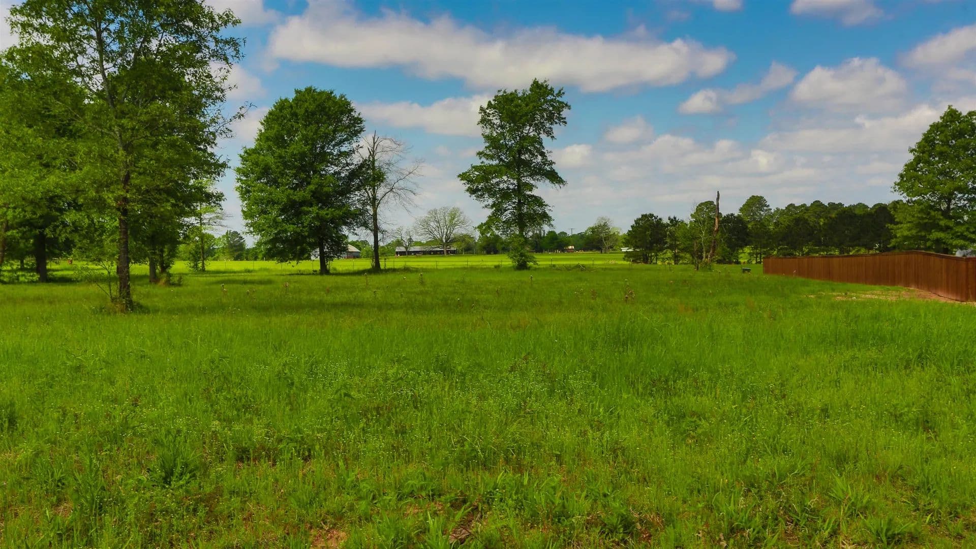 Lots & Land-Other in De Berry - De Berry, Texas, 75639