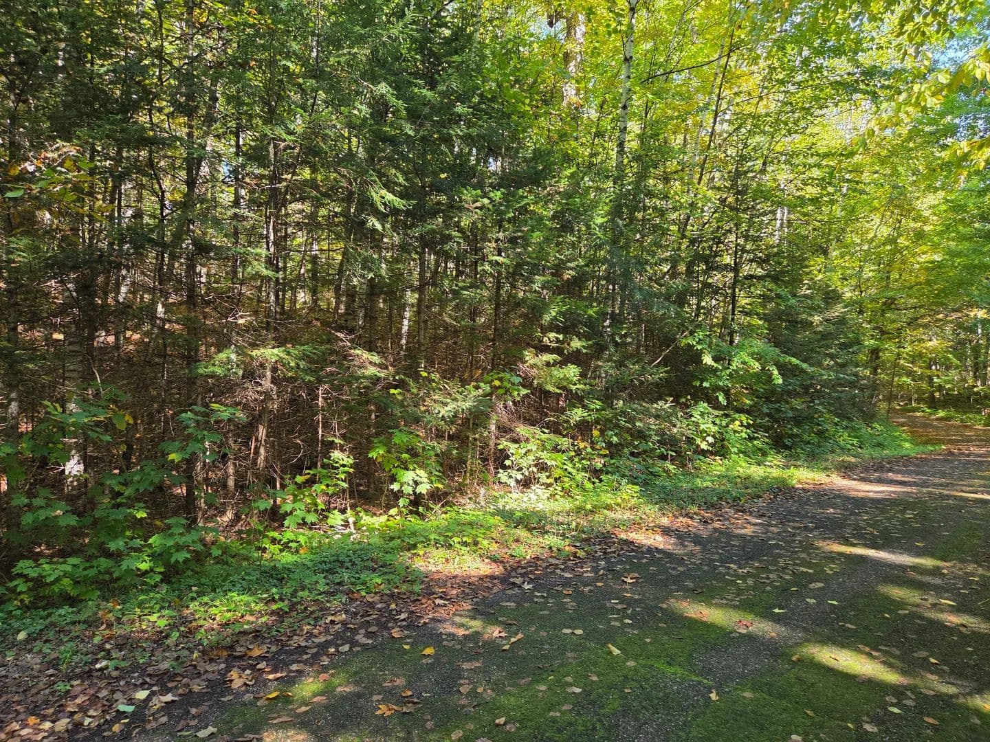 Land -Single Family Acreage in Presque Isle - Presque Isle, Wisconsin, 54557
