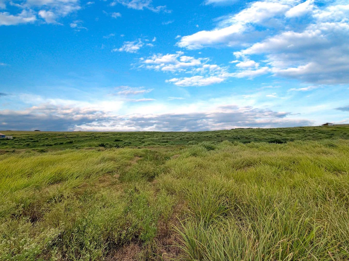 Lots & Land-Other in Naalehu - Naalehu, Hawaii, 96772