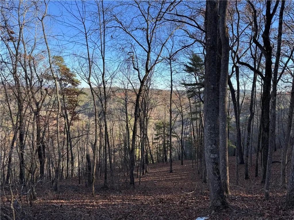 Lots & Land-Other in Ranger - Ranger, Georgia, 30734
