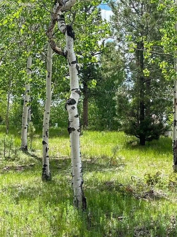 Lots & Land-Other in Woodland Park