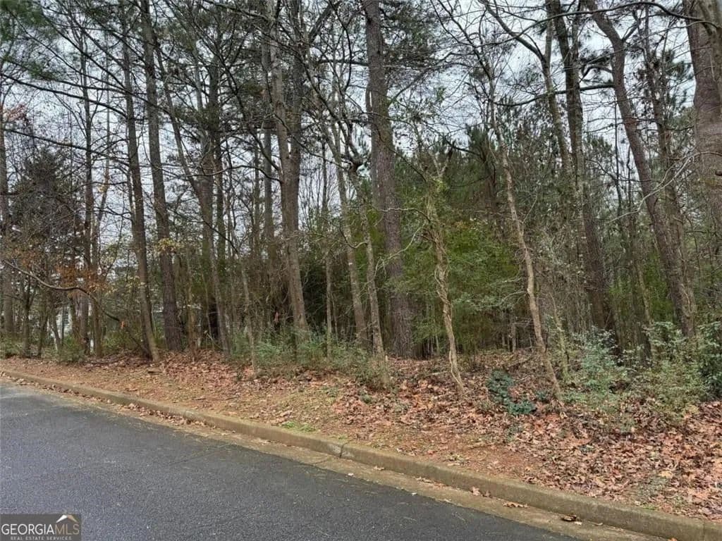 Vacant Land in Stone Mountain - Stone Mountain, Georgia, 30087