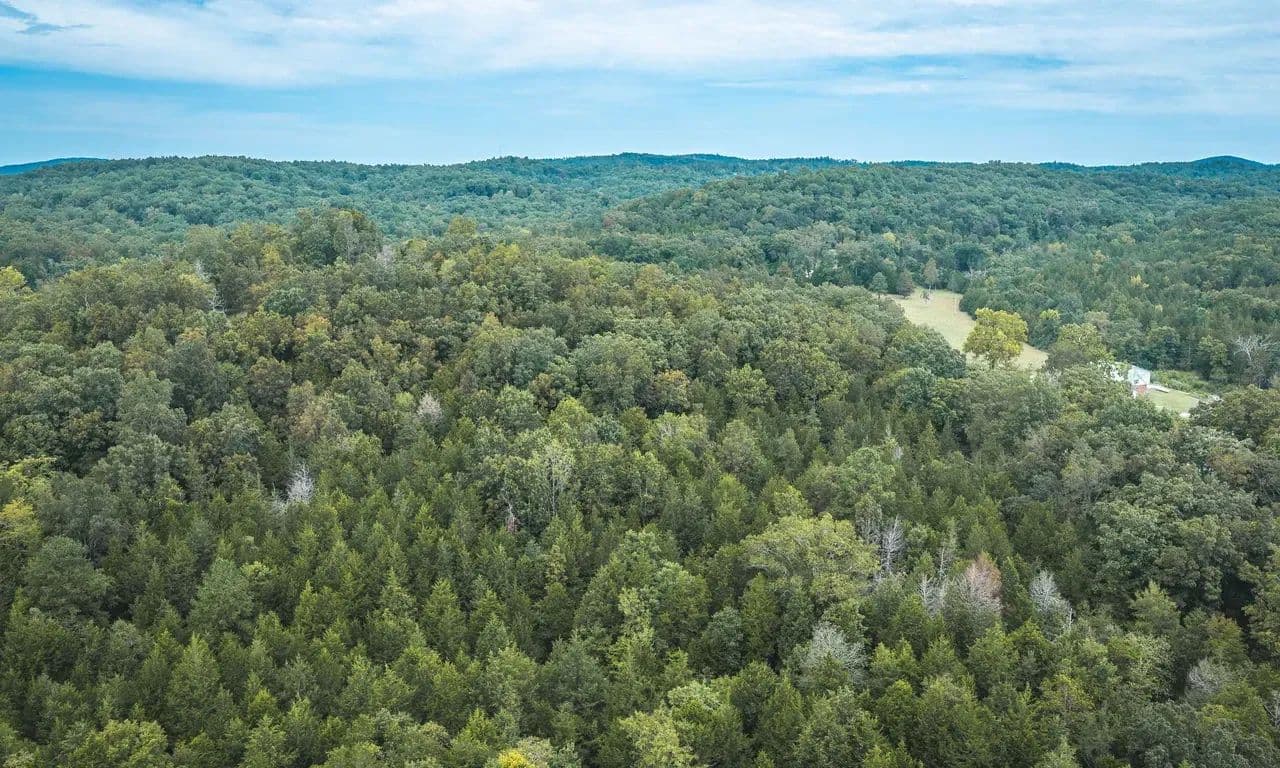 Adkins Hollow Tract 2 - Lesterville, Missouri, 63654