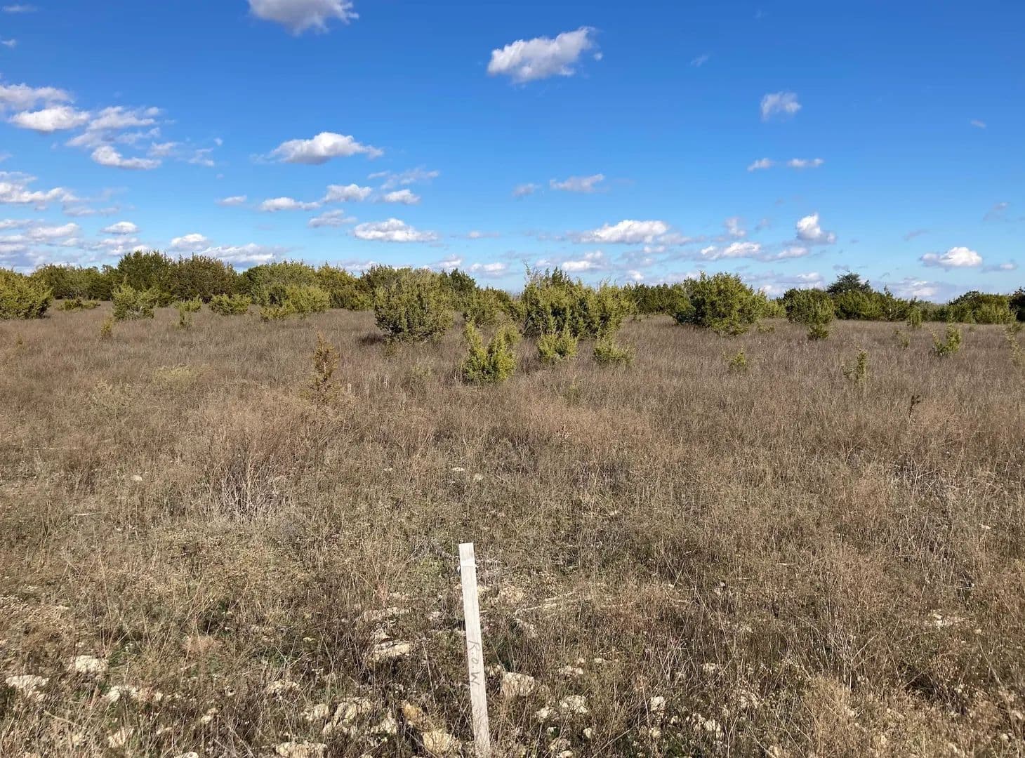 Vacant Land in Stephenville - Stephenville, Texas, 76401