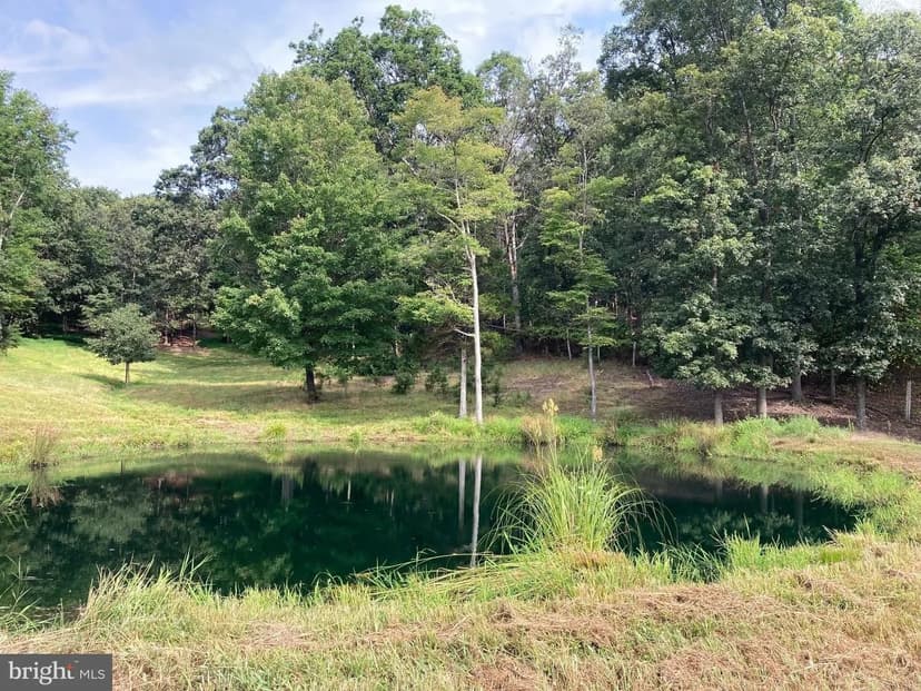 Lots & Land-Other in WINCHESTER