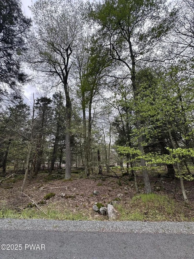 Lots & Land-Other in Gouldsboro