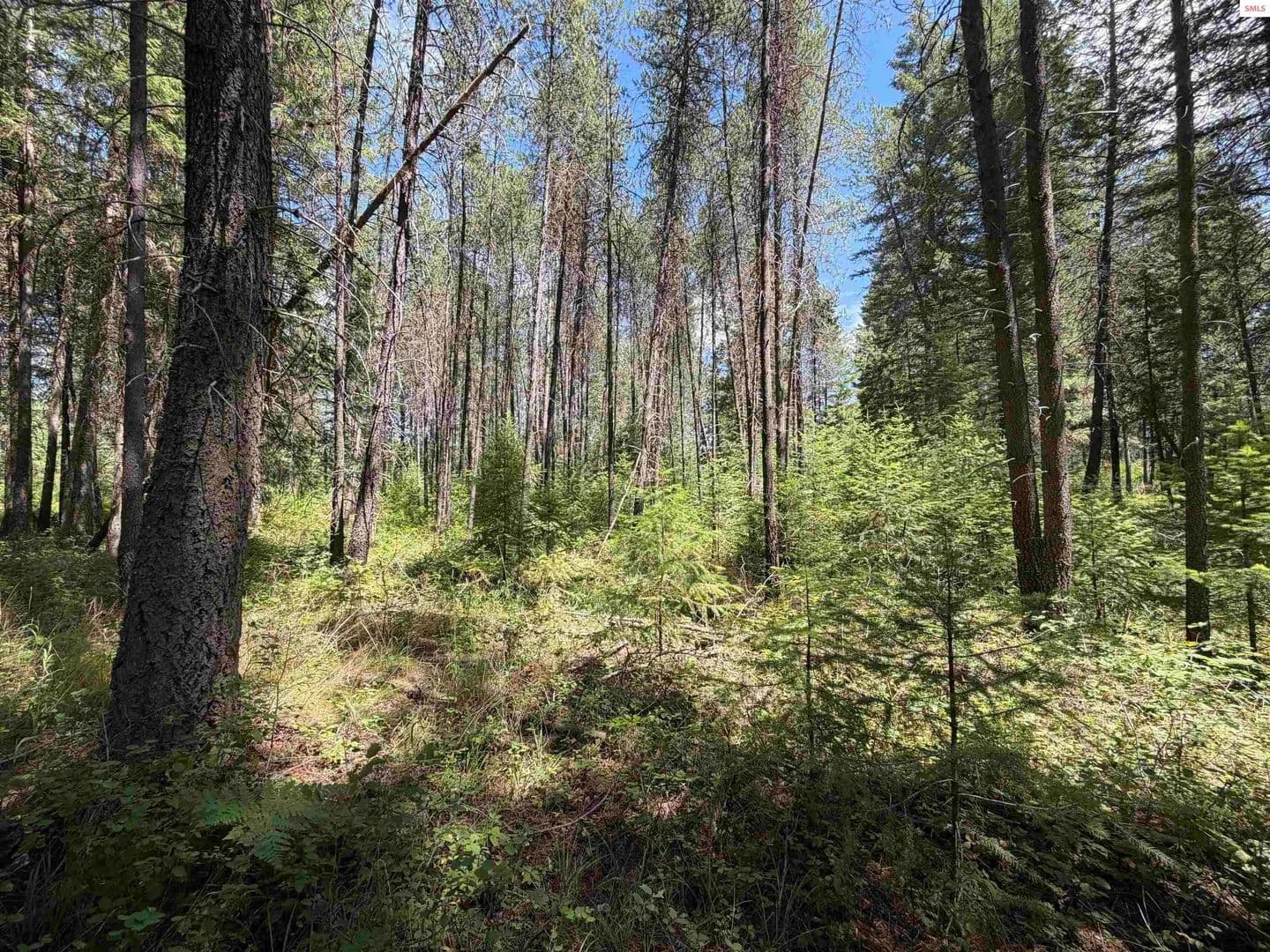 Lots & Land-Other in Priest River - Priest River, Idaho, 83864