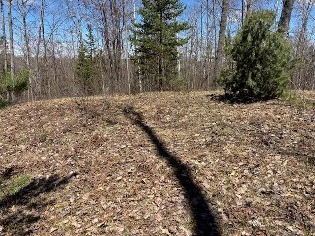 Lots & Land-Other in Frederic - Frederic, Michigan, 49733