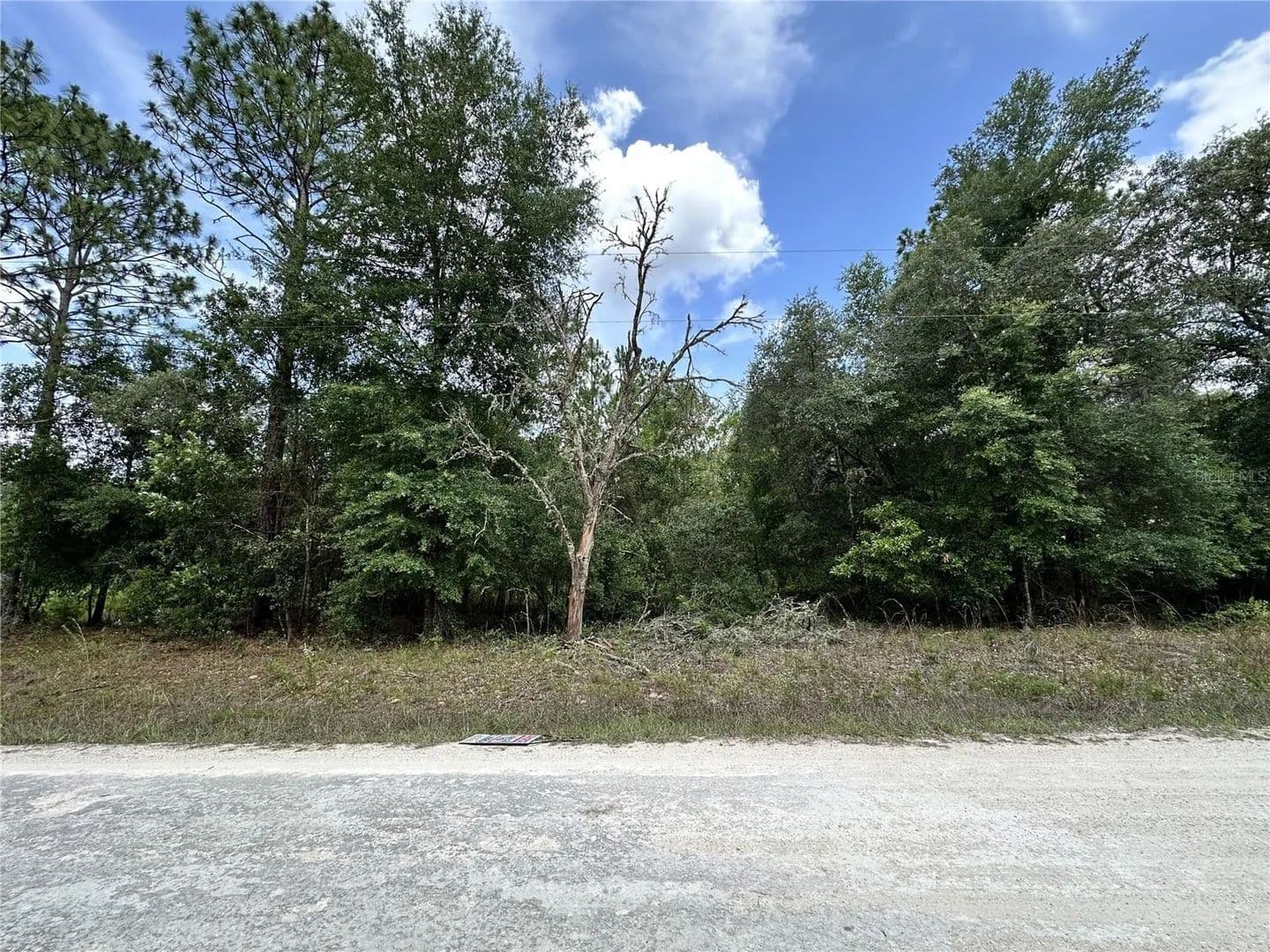 Property from 00 SW 98TH STREET - KW - Dunnellon, Florida, 34432