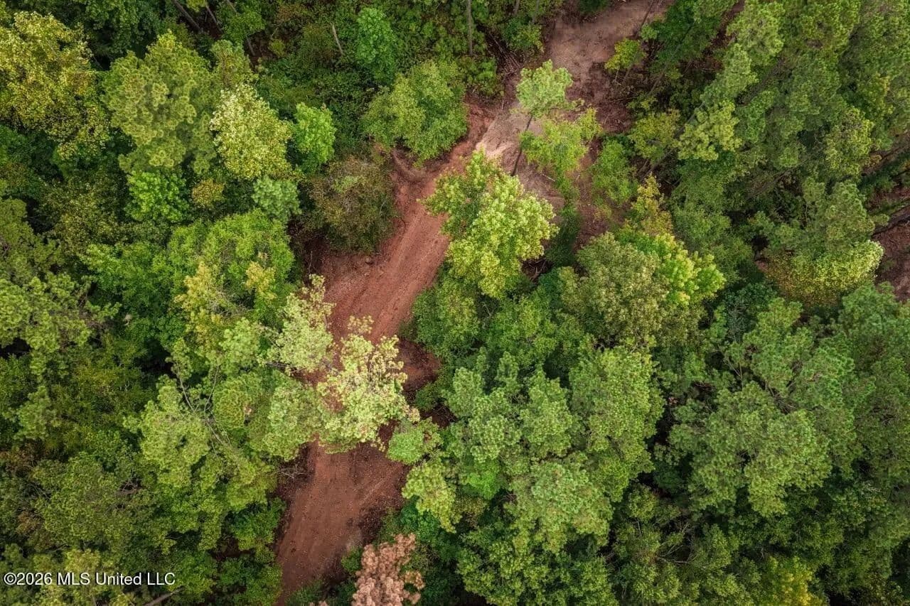 13± Acres by Homochitto National Forest Near Meadville, MS - Meadville, Mississippi, 39653