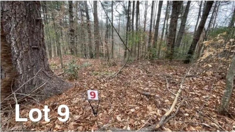 Vacant Land in Stuart - Stuart, Virginia, 24171