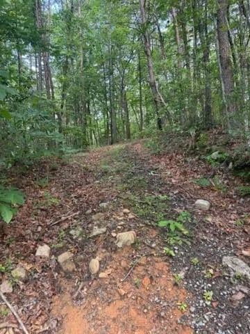 Lots & Land-Other in Ellijay - Ellijay, Georgia, 30536