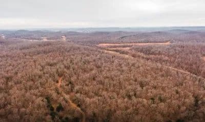 Pleasant Hill Woods 105