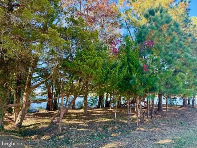 Vacant Land in Berlin