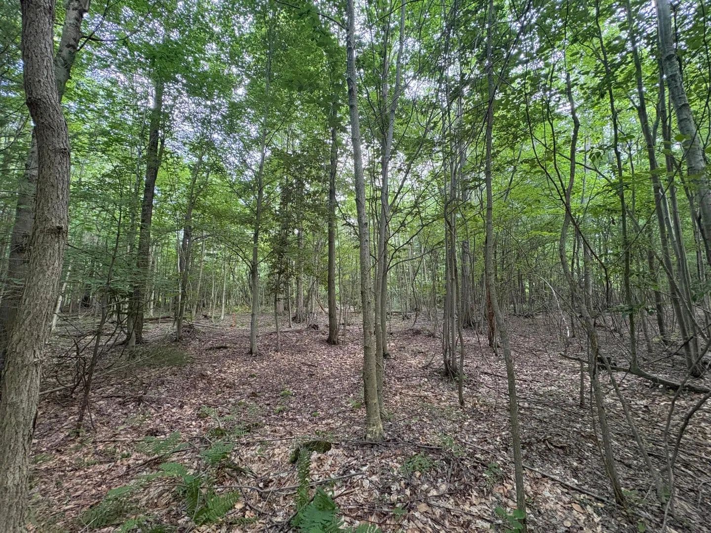Lots & Land-Other in Pullman - Pullman, Michigan, 49450