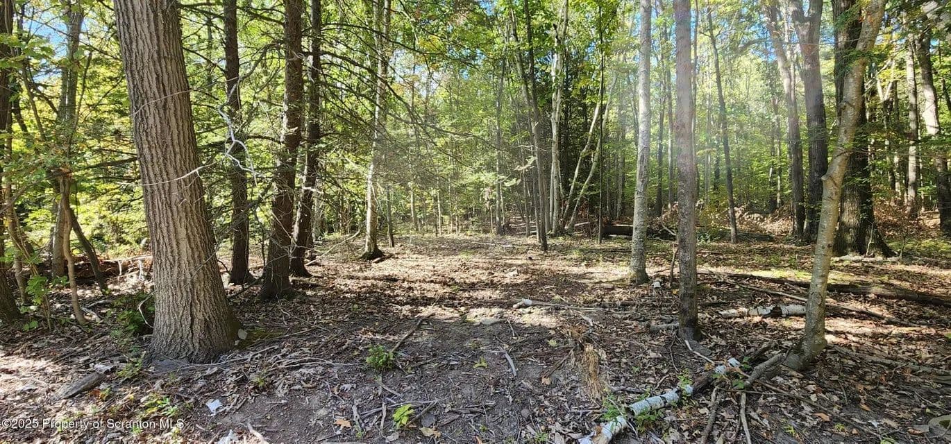 Vacant Land (0-10 Acres) in Falls - Falls, Pennsylvania, 18615