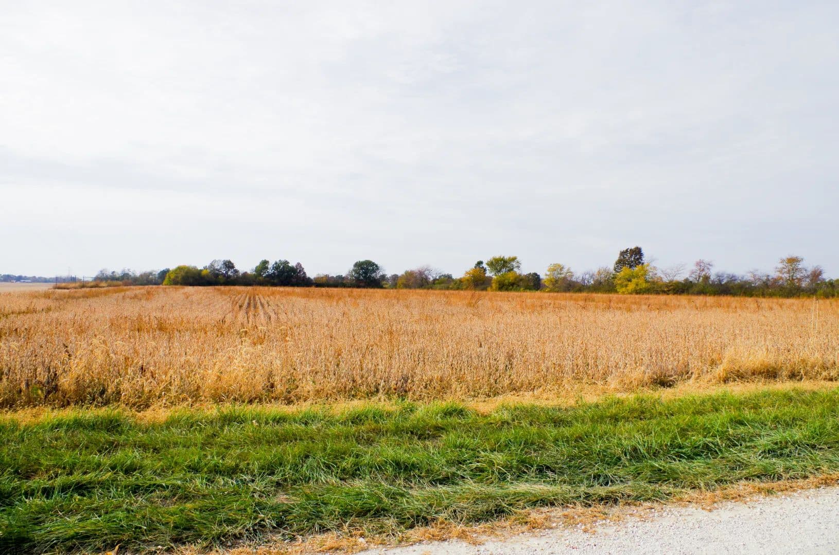 MAJOR COMMERCIAL DEVELOPMENT OPPORTUNITY | 88 ACRES | BOWLING GREEN, MO - Bowling Green, Missouri, 63334