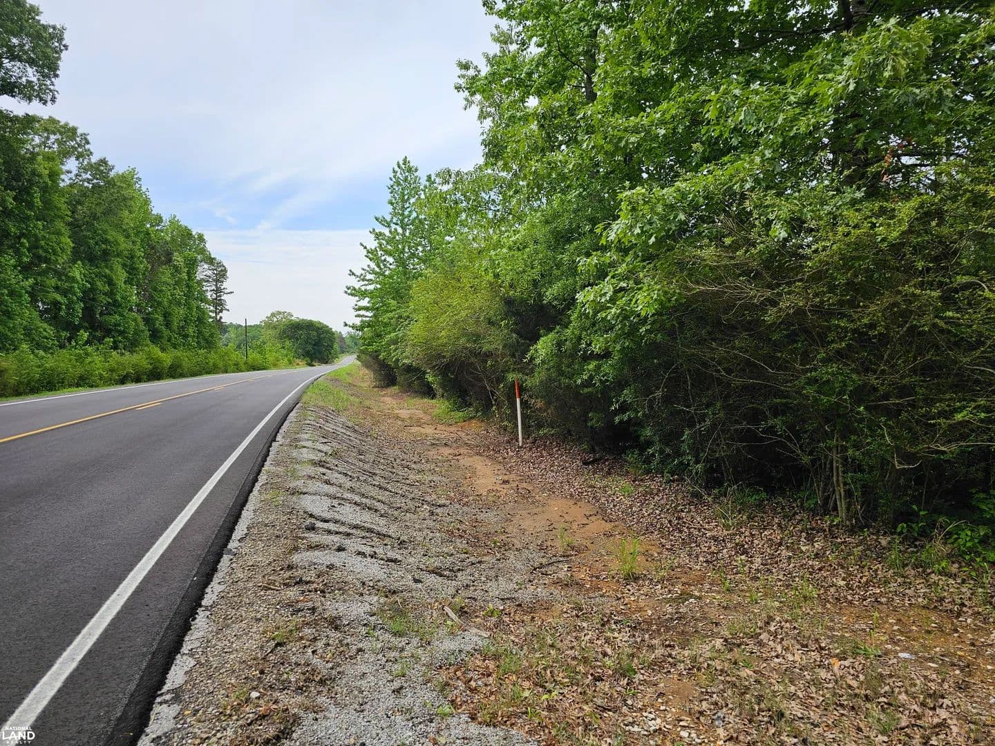 Detroit Hunting and Recreation Property - Detroit, Alabama, 35552