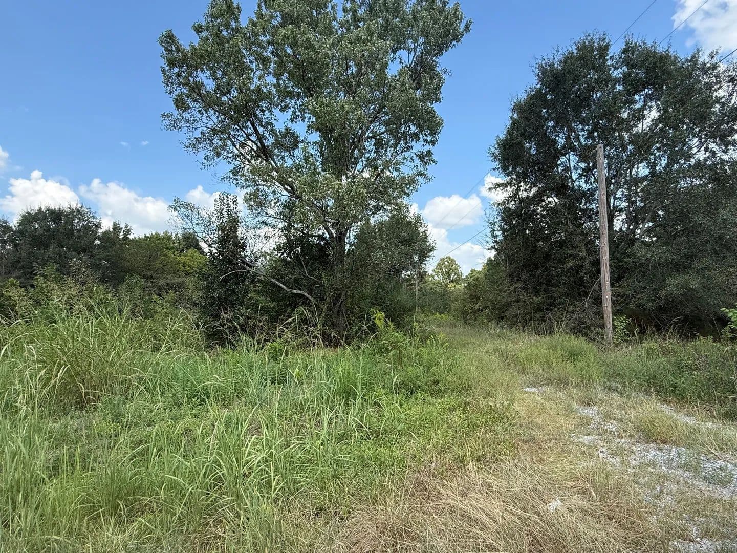 Land -Single Family Acreage in Cullman - Cullman, Alabama, 35055