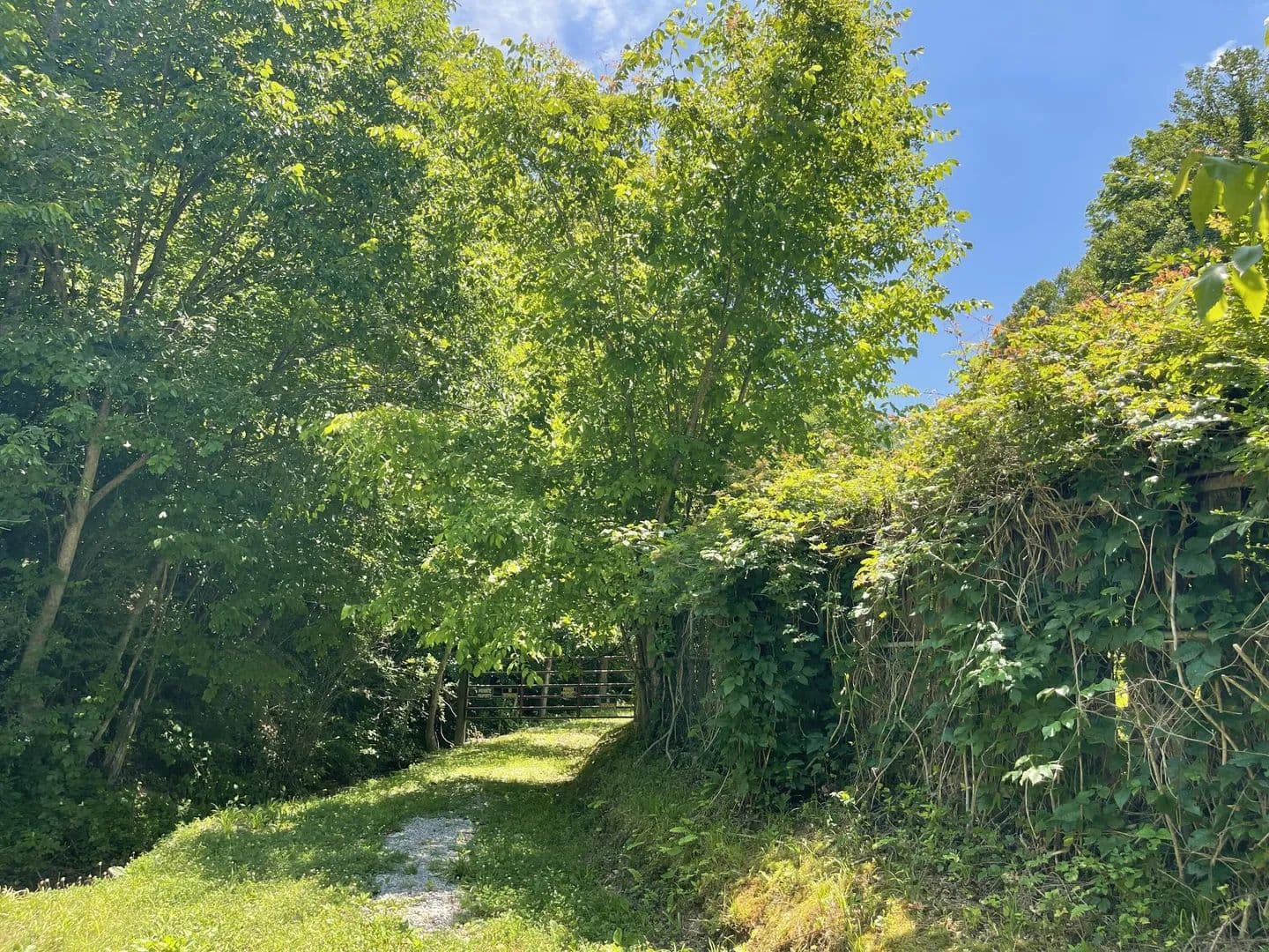 Lots & Land-Other in Arjay - Arjay, Kentucky, 40902