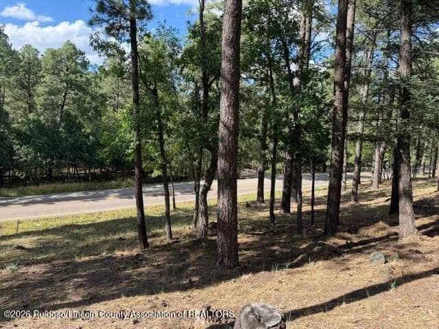 Lots & Land-Other in Alto - Alto, New Mexico, 88312