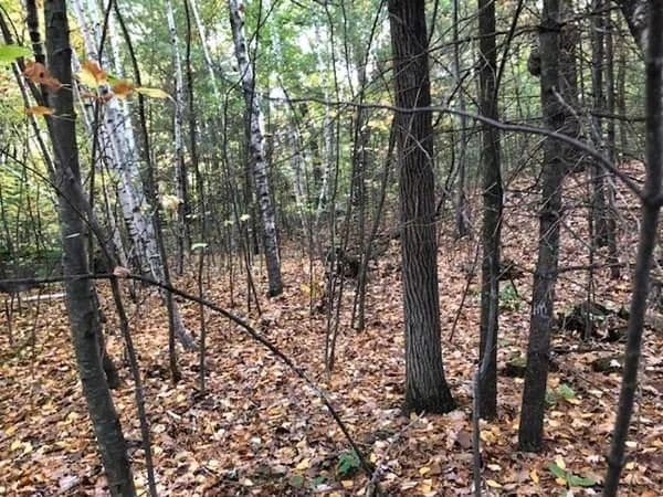 Lots & Land-Other in Shrewsbury