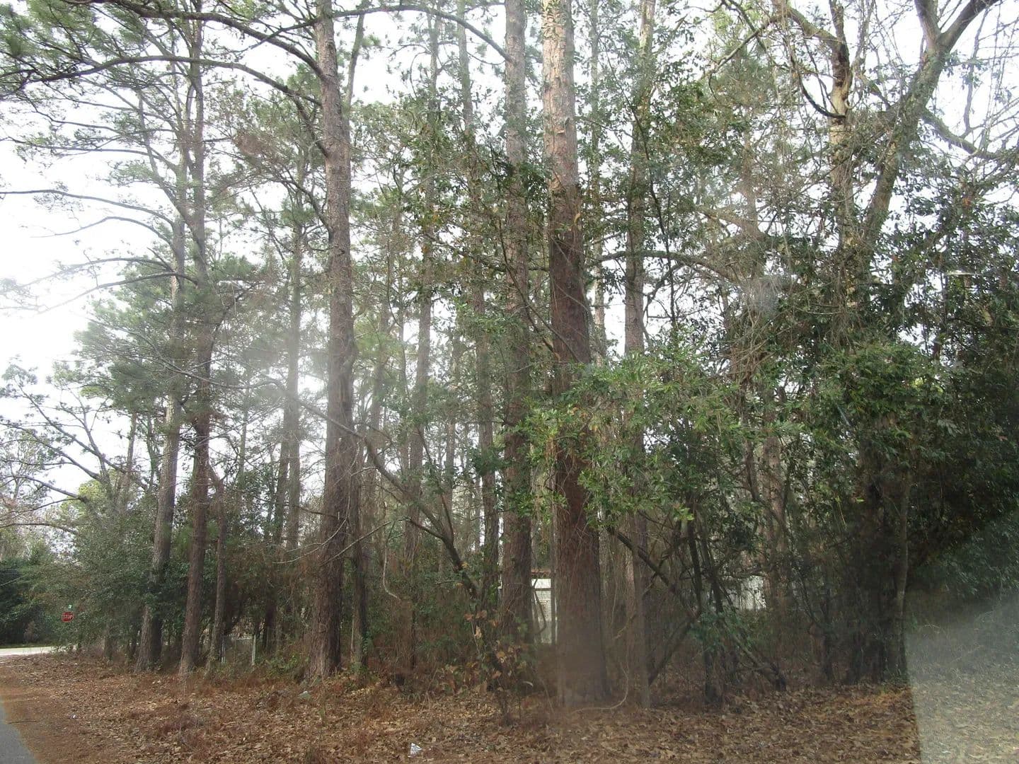 Lots & Land-Other in Augusta - Augusta, Georgia, 30906