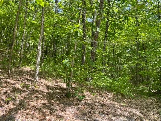 70 Acres of Land for Sale in Harrison, Maine - Harrison, Maine, 04040