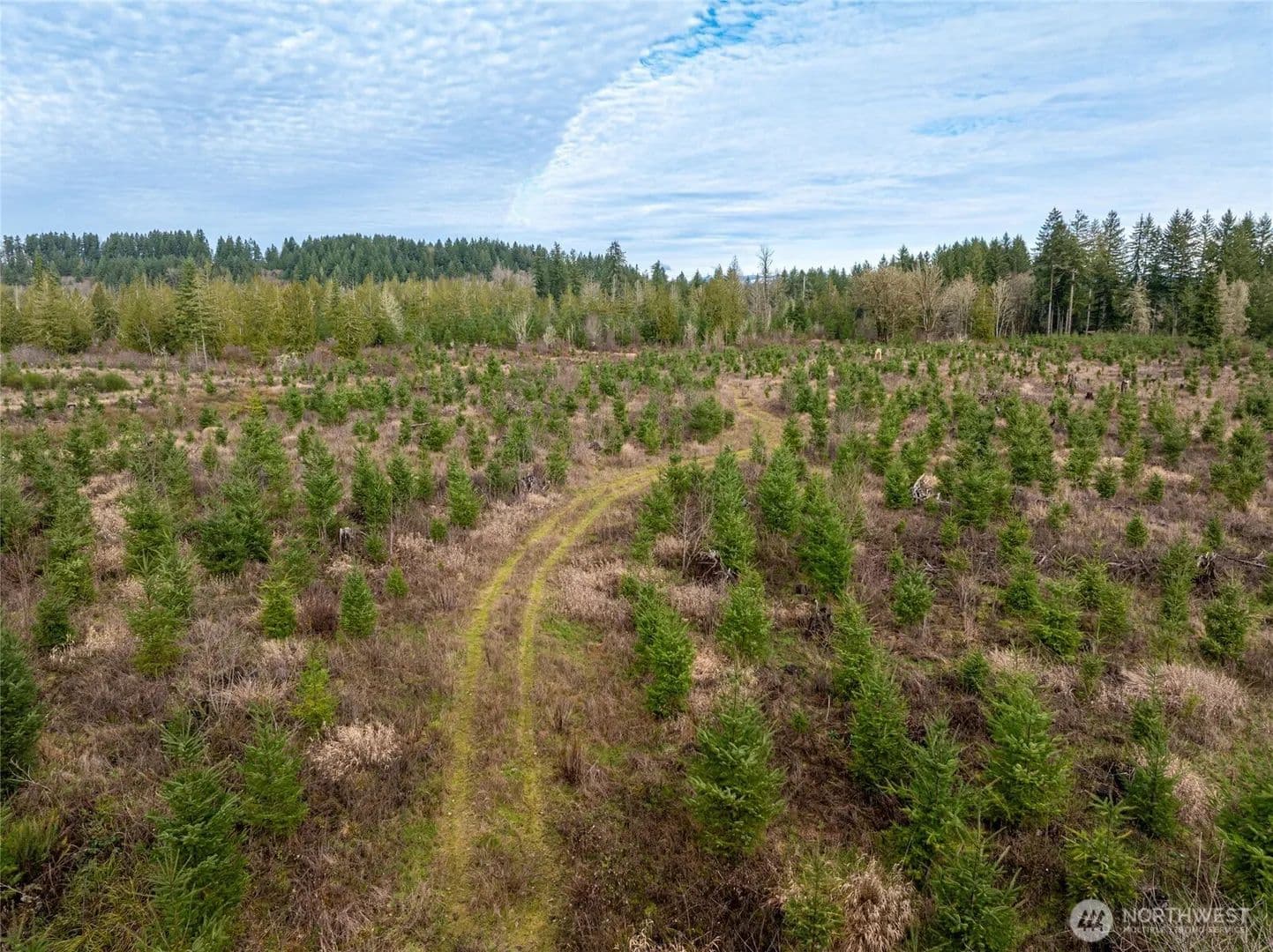 Vacant Land in Onalaska - Onalaska, Washington, 98570