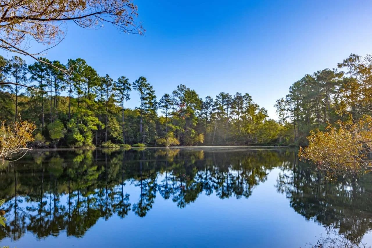 Springwood Lakes Tract 1 - Chester, South Carolina, 29706