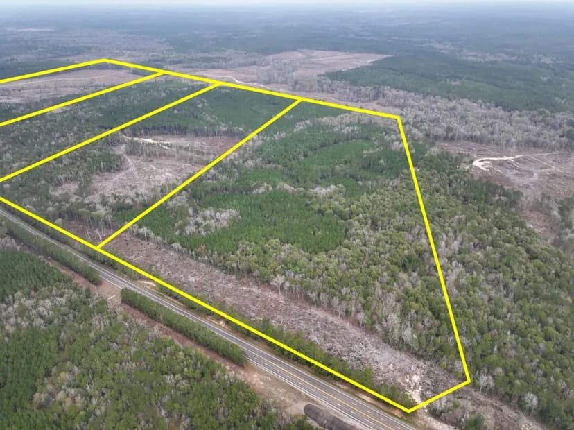 139 Acres | T-5 | Highway 190 | 01224