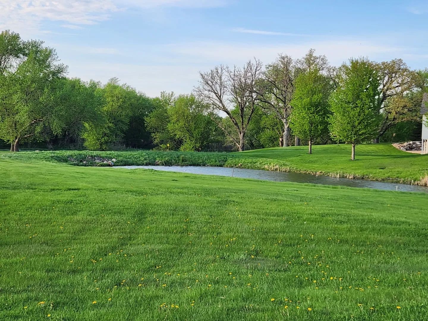 Lots & Land-Other in Sheffield - Sheffield, Iowa, 50475