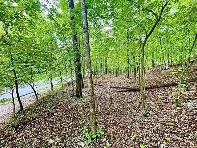 Lots & Land-Other in Kansas - Kansas, Oklahoma, 74347