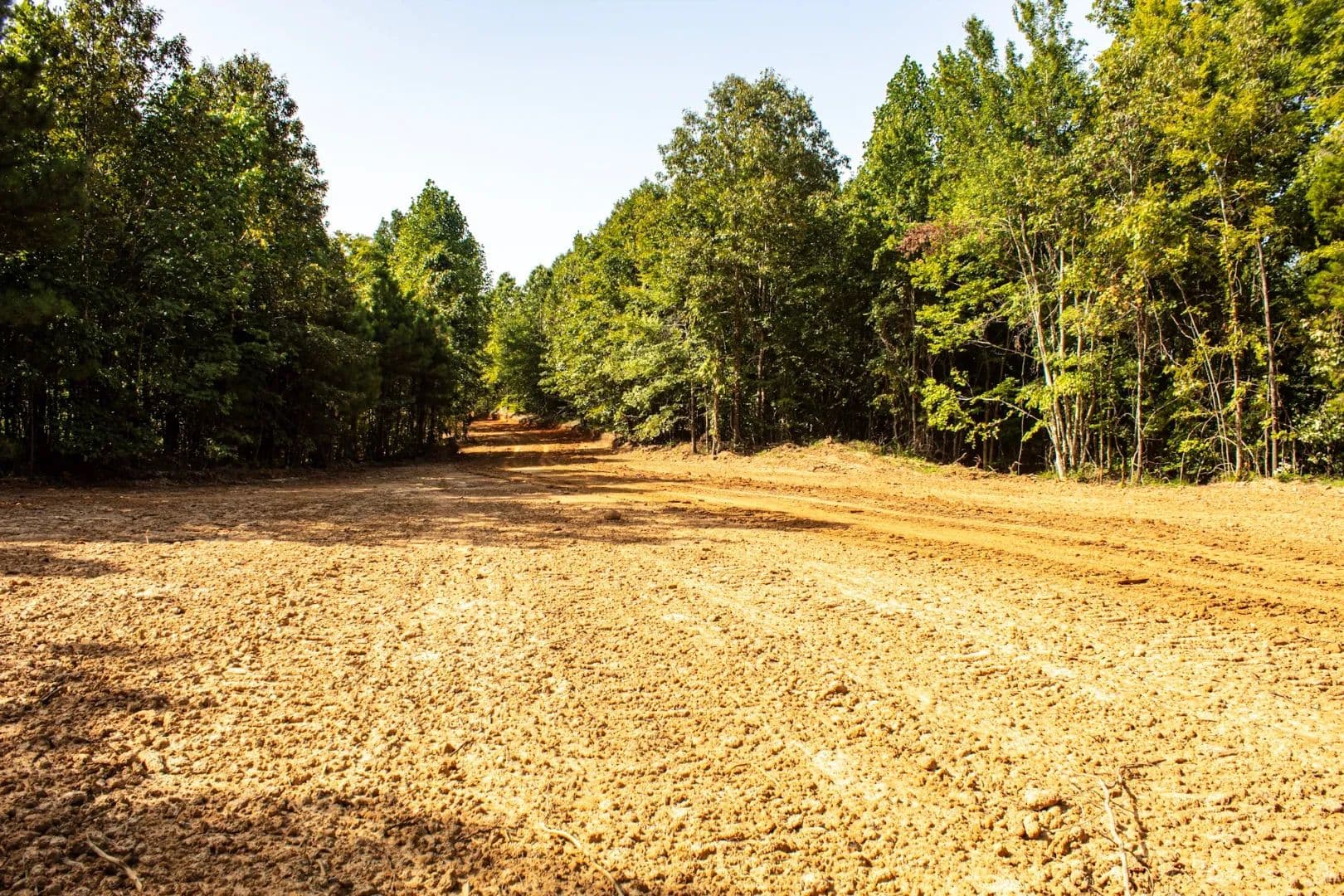 308 Acres in Hardeman County, TN  - Hornsby, Tennessee, 38044