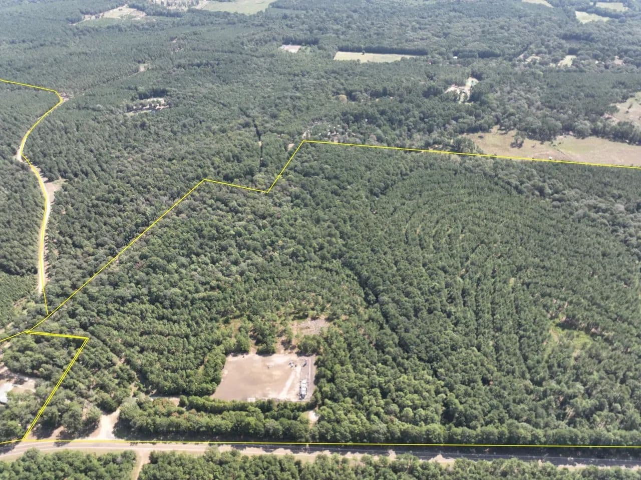 72 Acres | T-5 | FM 256 - Woodville, Texas, 75979