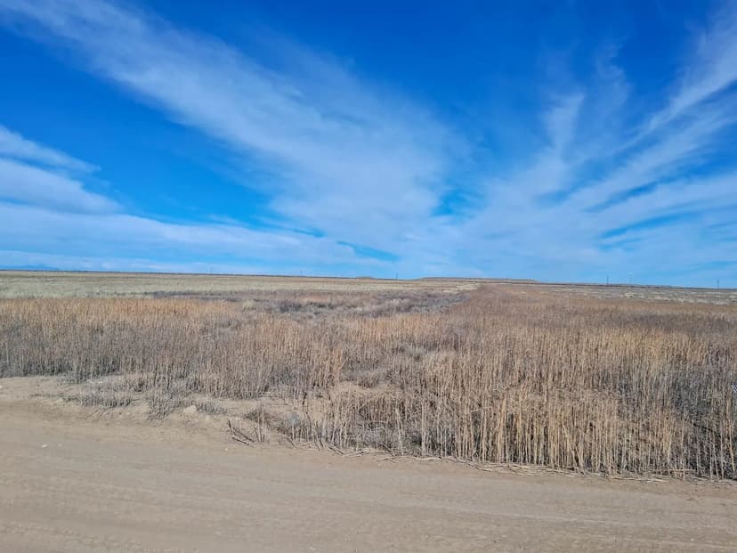 205.3 Acres in Pueblo County
