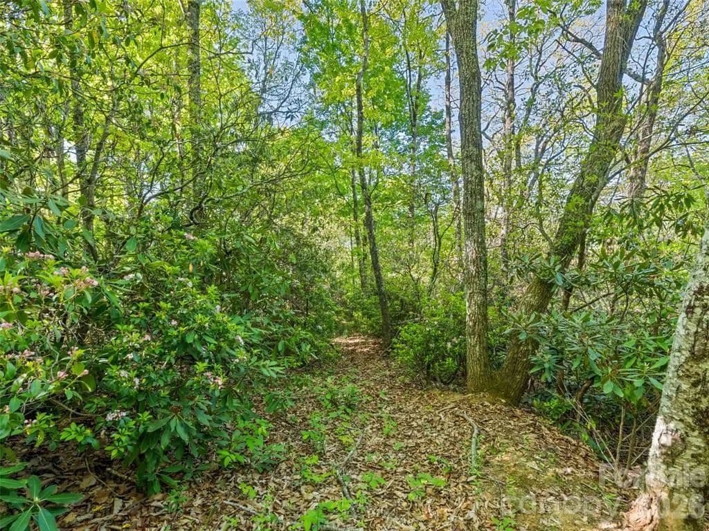Property from #19 Sleepy Hollow Lane - KW - Waynesville, North Carolina, 28786