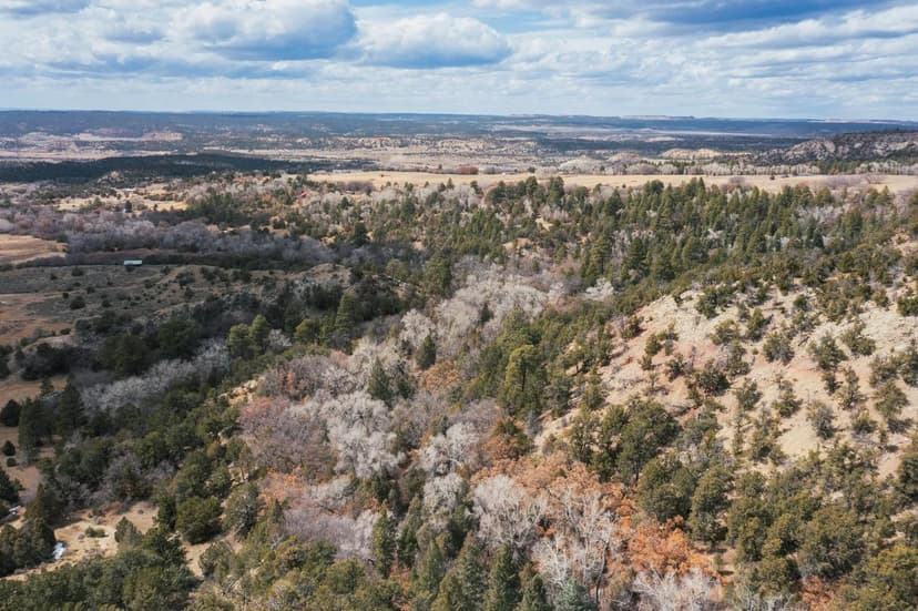 Property from La Otra Banda - KW