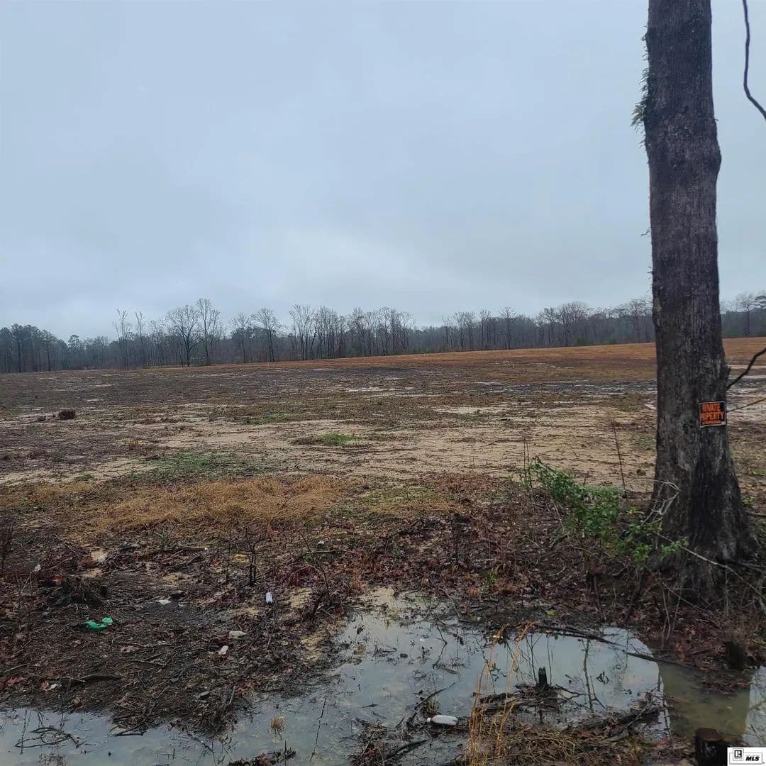 Vacant Land in Monroe - Monroe, Louisiana, 71203
