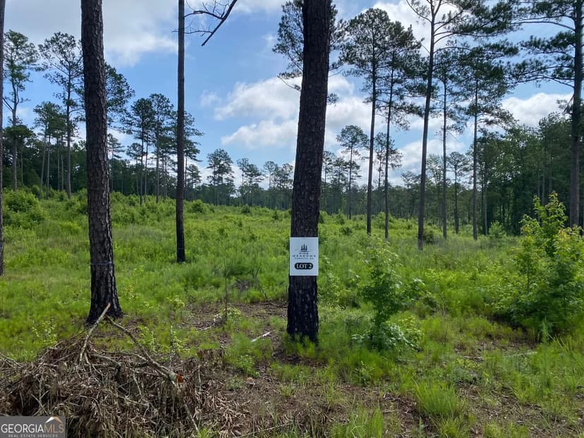 Lots & Land-Other in Forsyth