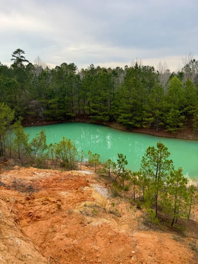 42.5 Acres in Kemper County, MS  - Preston, Mississippi, 39354