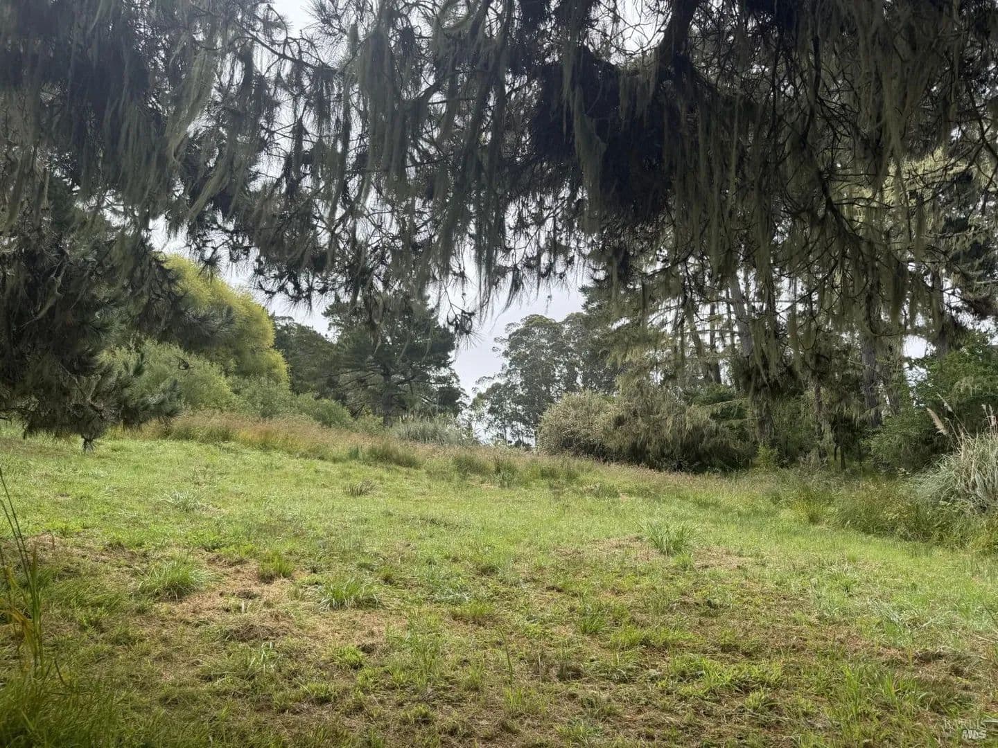 Vacant Land in Bolinas - Bolinas, California, 94924