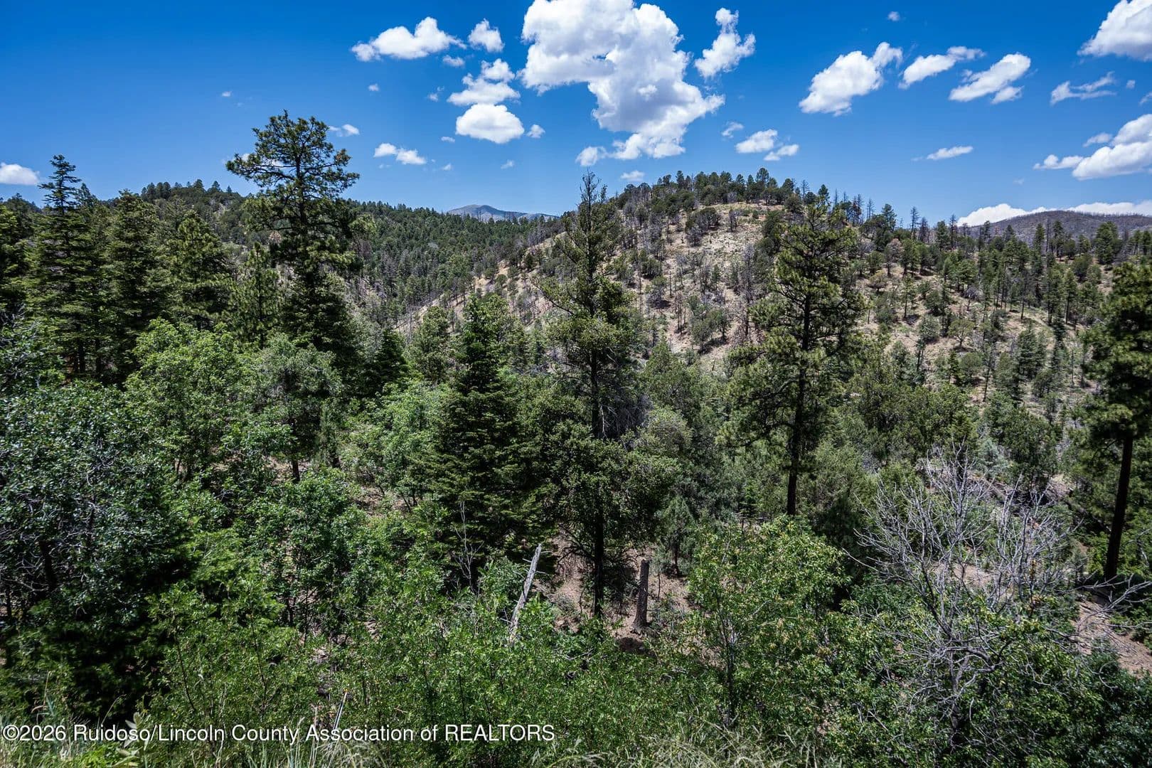 Property from 134 Westbury Drive - KW - Ruidoso, New Mexico, 88345