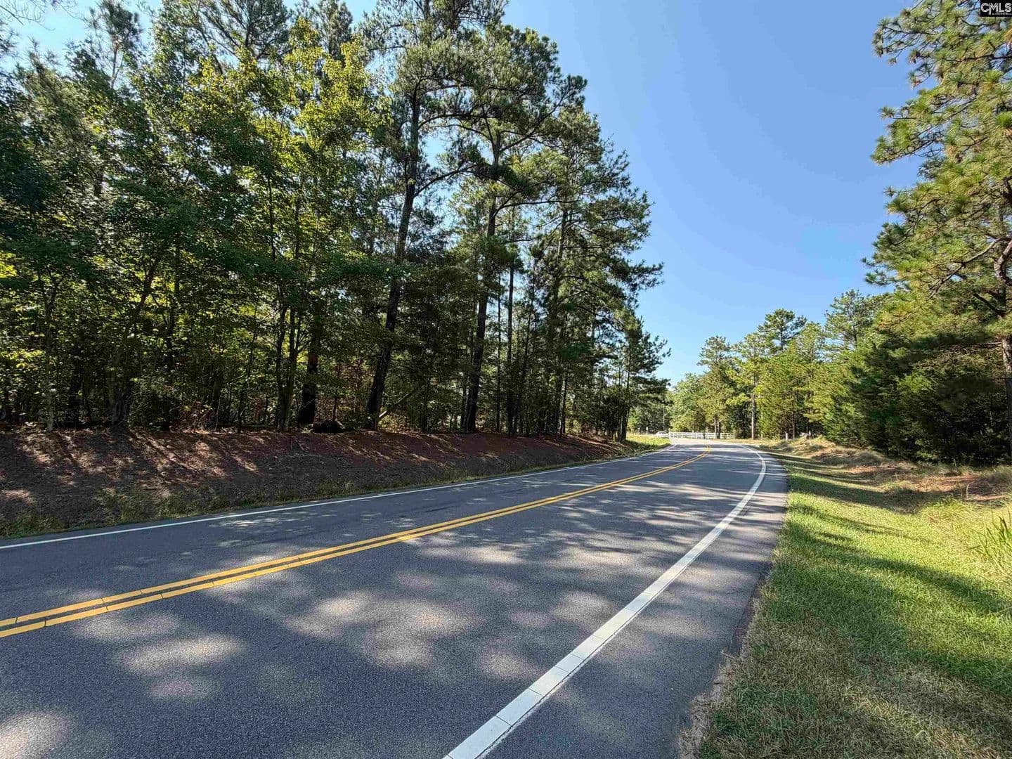 Vacant Land in Chapin - Chapin, South Carolina, 29036